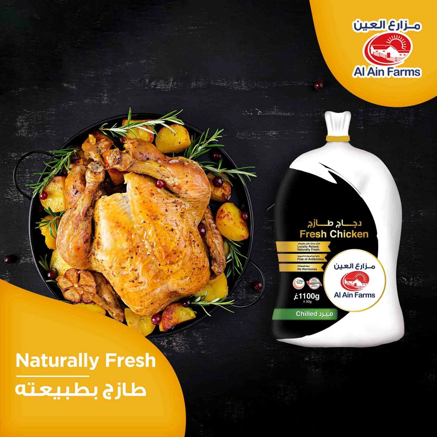 Al Ain Fresh Whole Chicken 1 kg