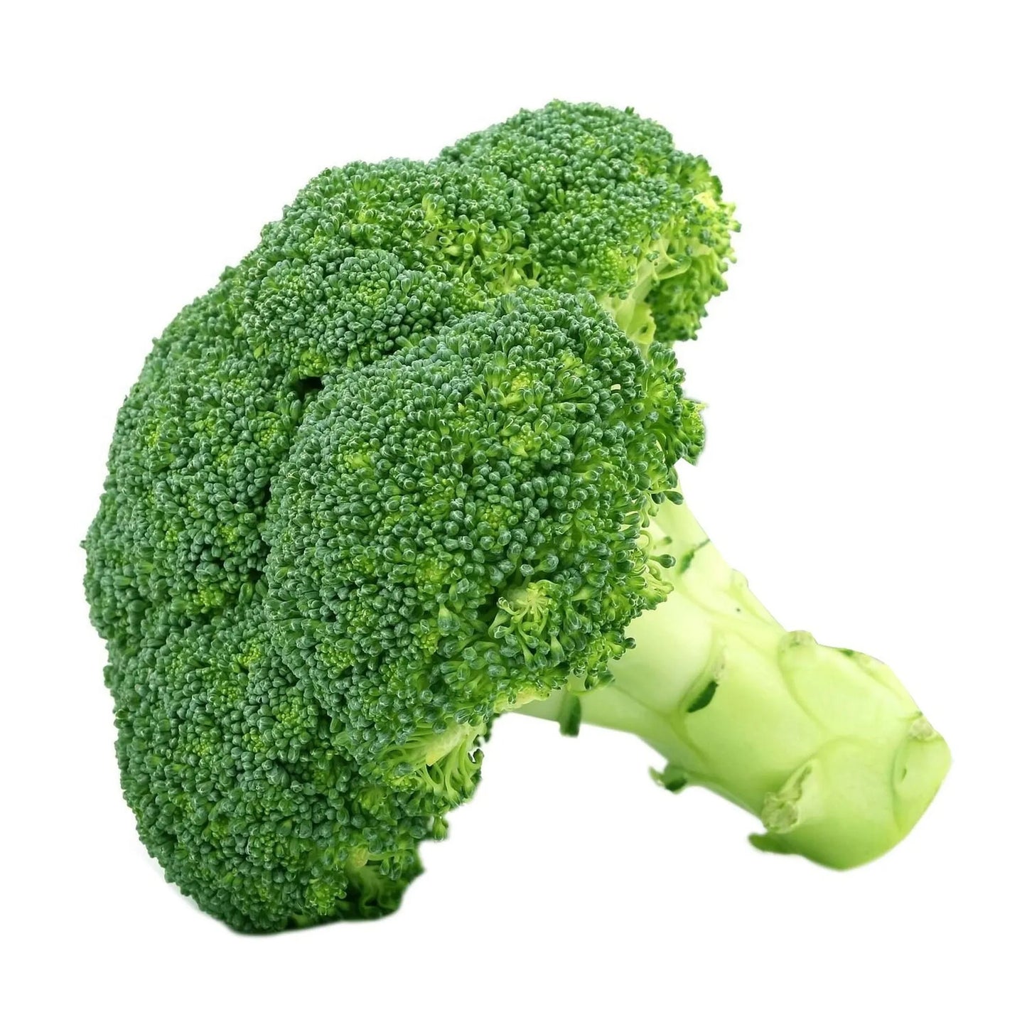 Broccoli Import 500 gr