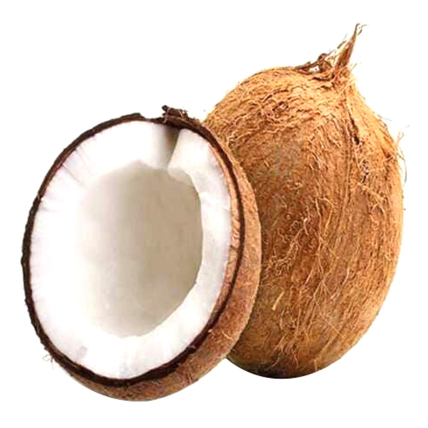 Coconut Dry India 1 pcs