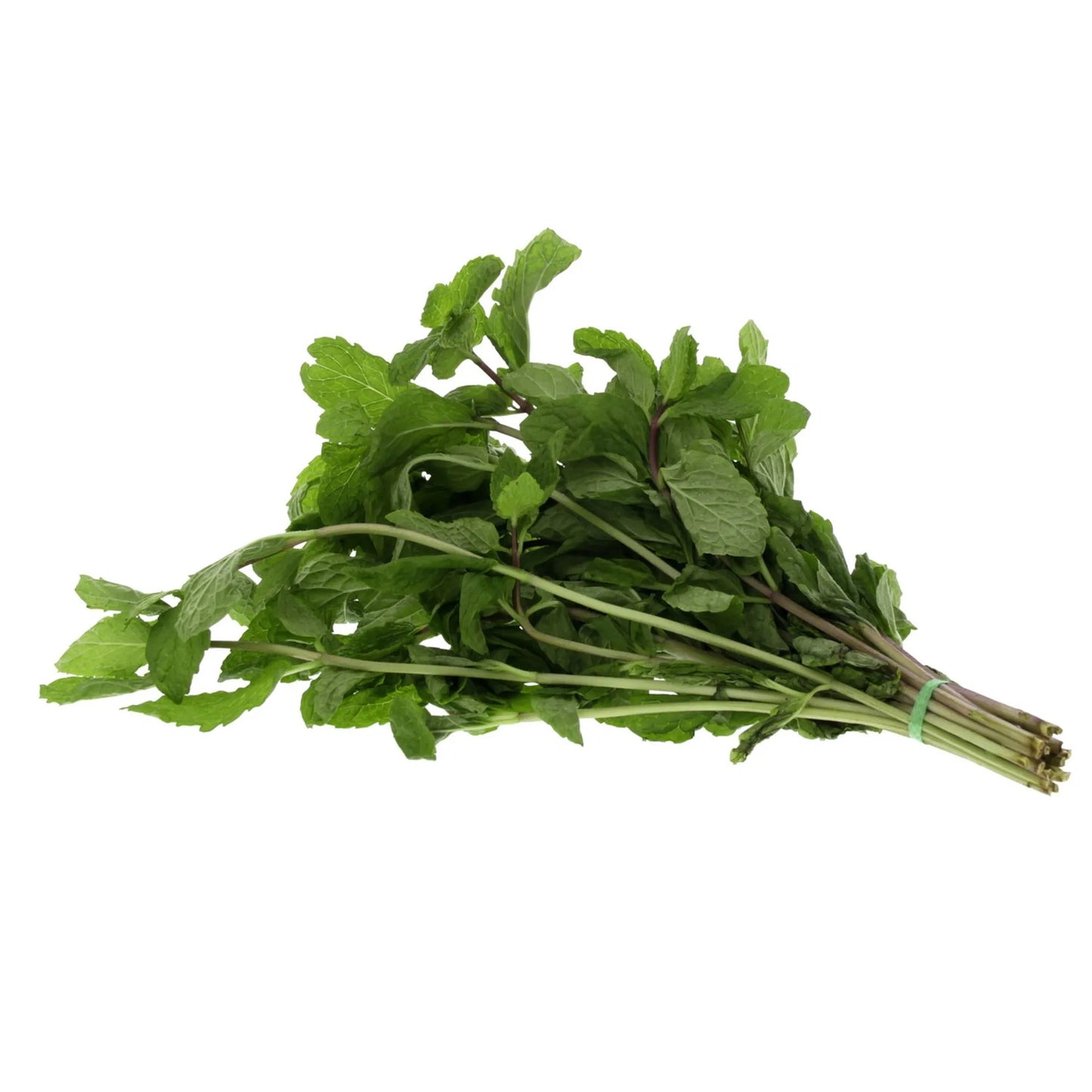 Fresh Mint Leaves 1 pack
