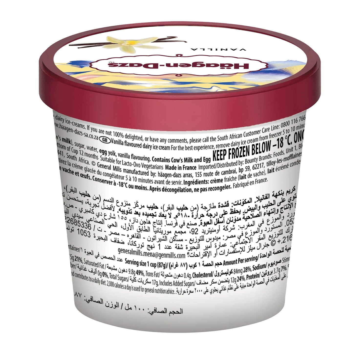 Haagen Dazs Vanilla Ice Cream 100 ml