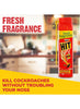 Hit Citrus Fragrance Cockroach & Multi Insect Killer Spray, 600 ml