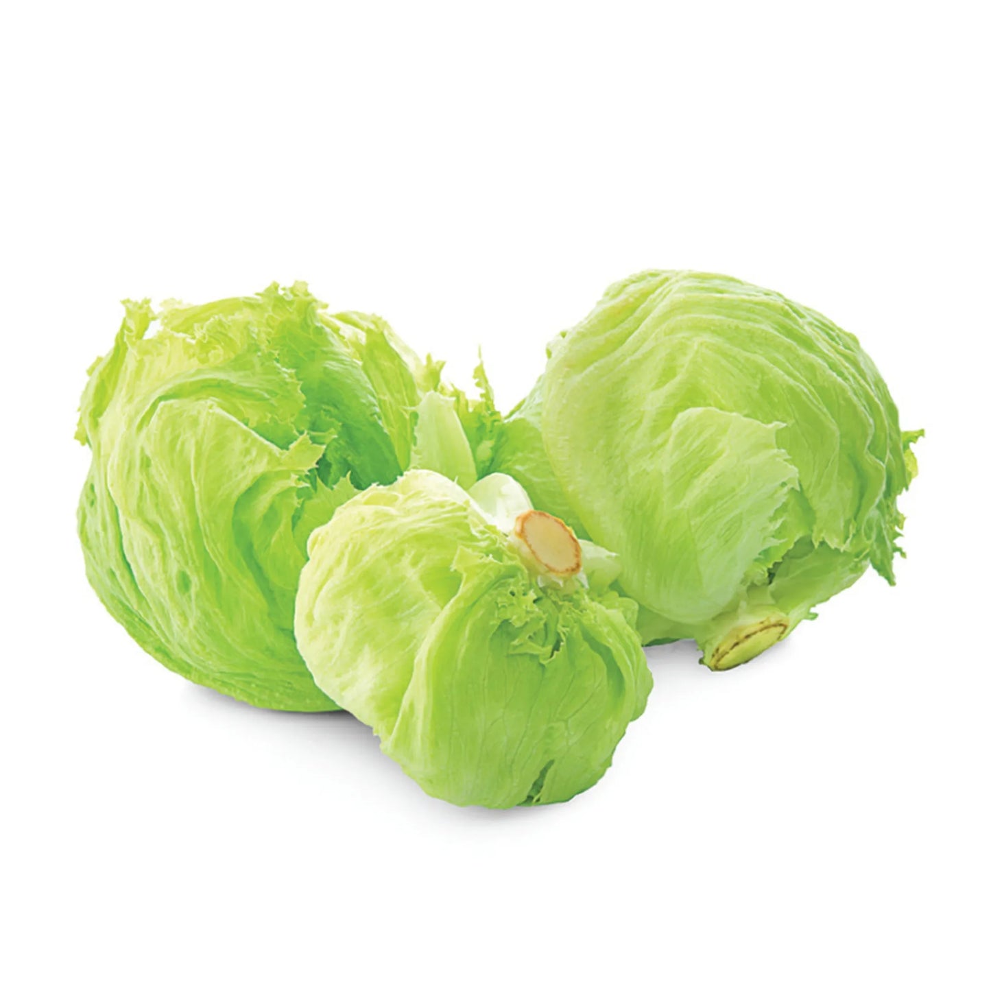 Lettuce Iceberg 1 pcs