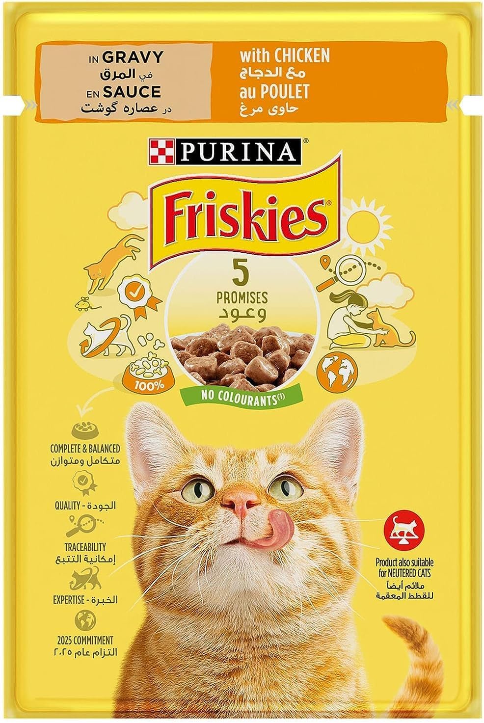 Purina Friskies Dry Food with Chicken for Adult Cats 300 gr