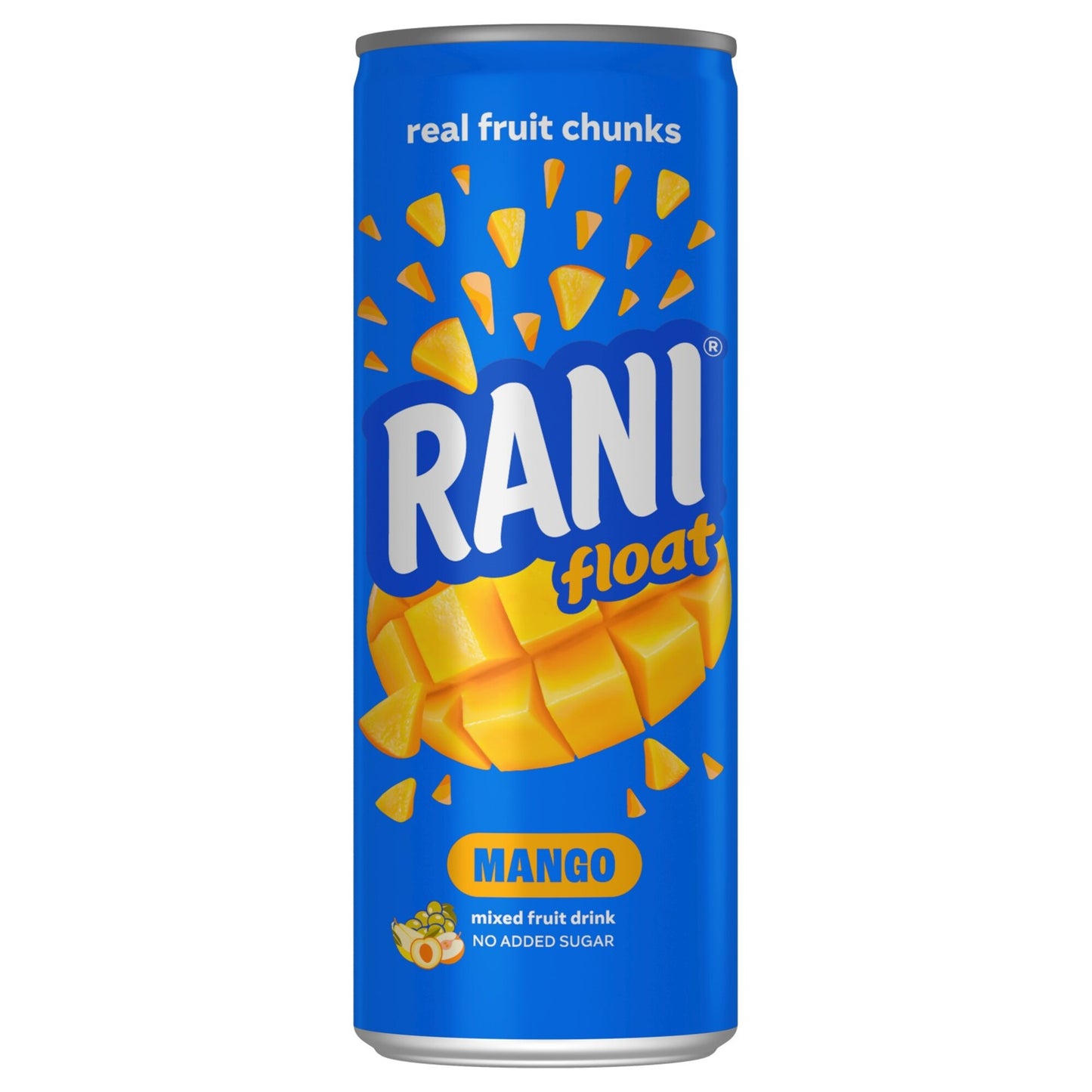 Rani Float Long Life Mango Drink with Real Fruit Pieces 235 ml