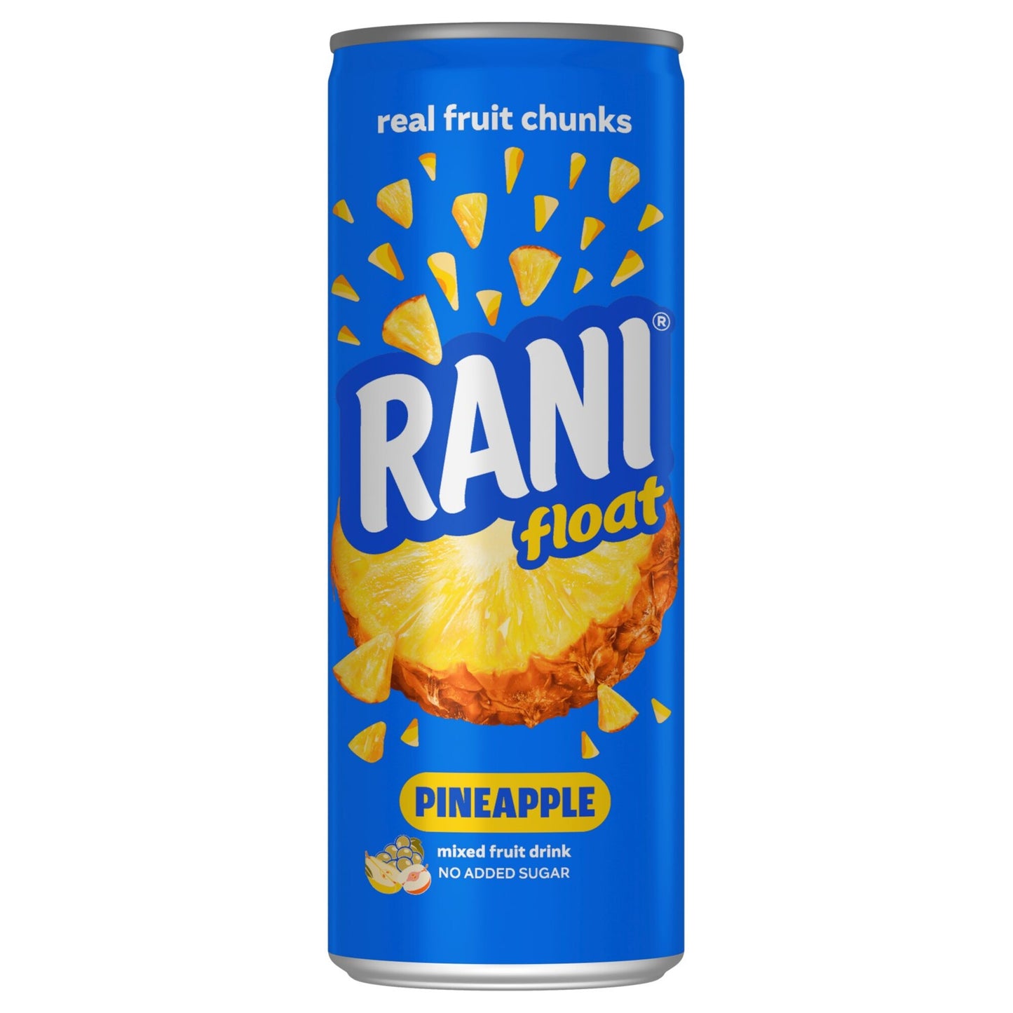 Rani Float Long Life Pineapple Drink with Real Fruit Pieces 240 ml
