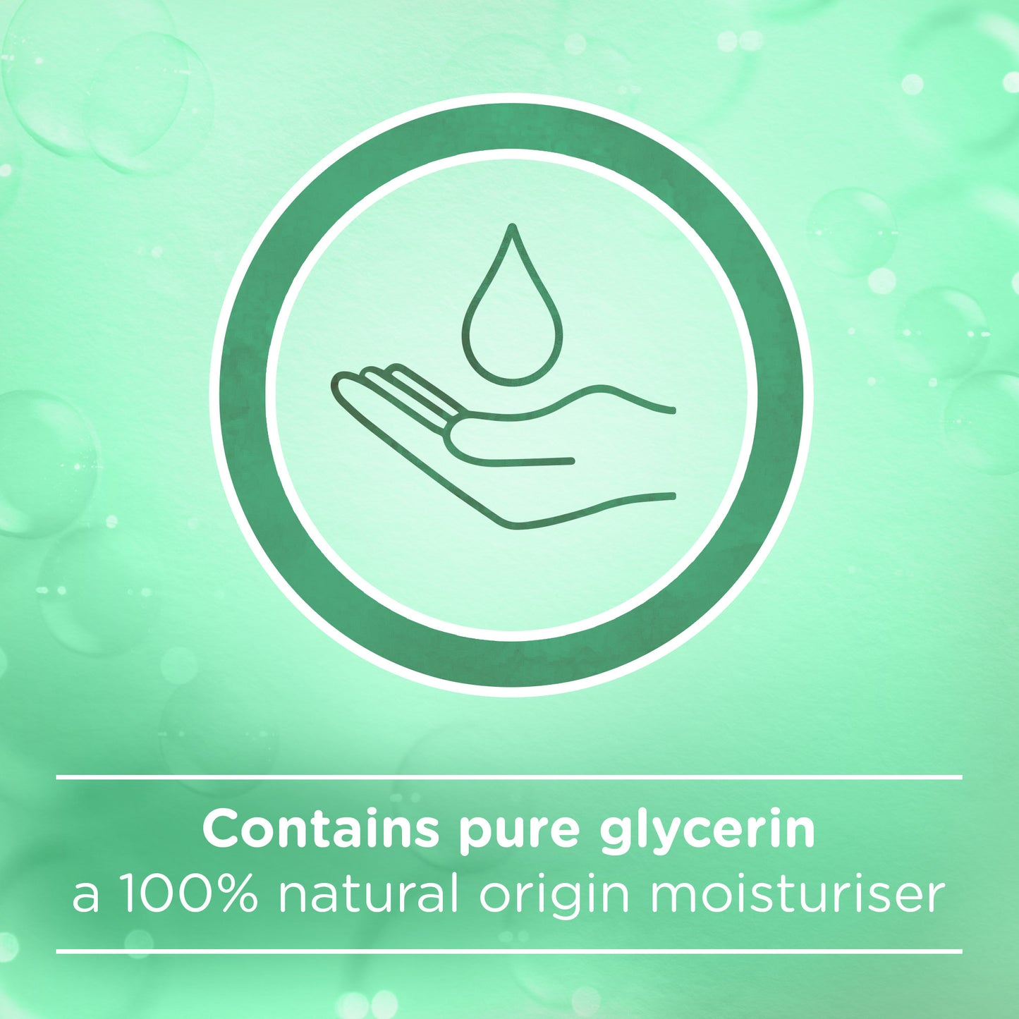 Johnson Hand Wash Anti Bacterial Mint 300 ml