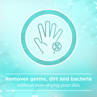 Johnson Hand Wash Anti Bacterial Seasalt 300 ml