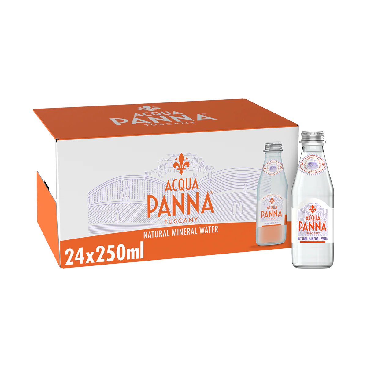 Acqua Panna Natural Mineral Water Bottles 24x250 ml