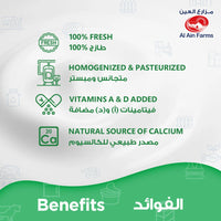 Al Ain Fresh Full Cream Yogurt 2 kg