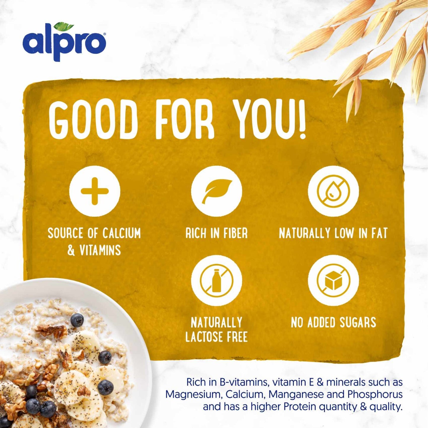 Alpro Oat Milk 1 L