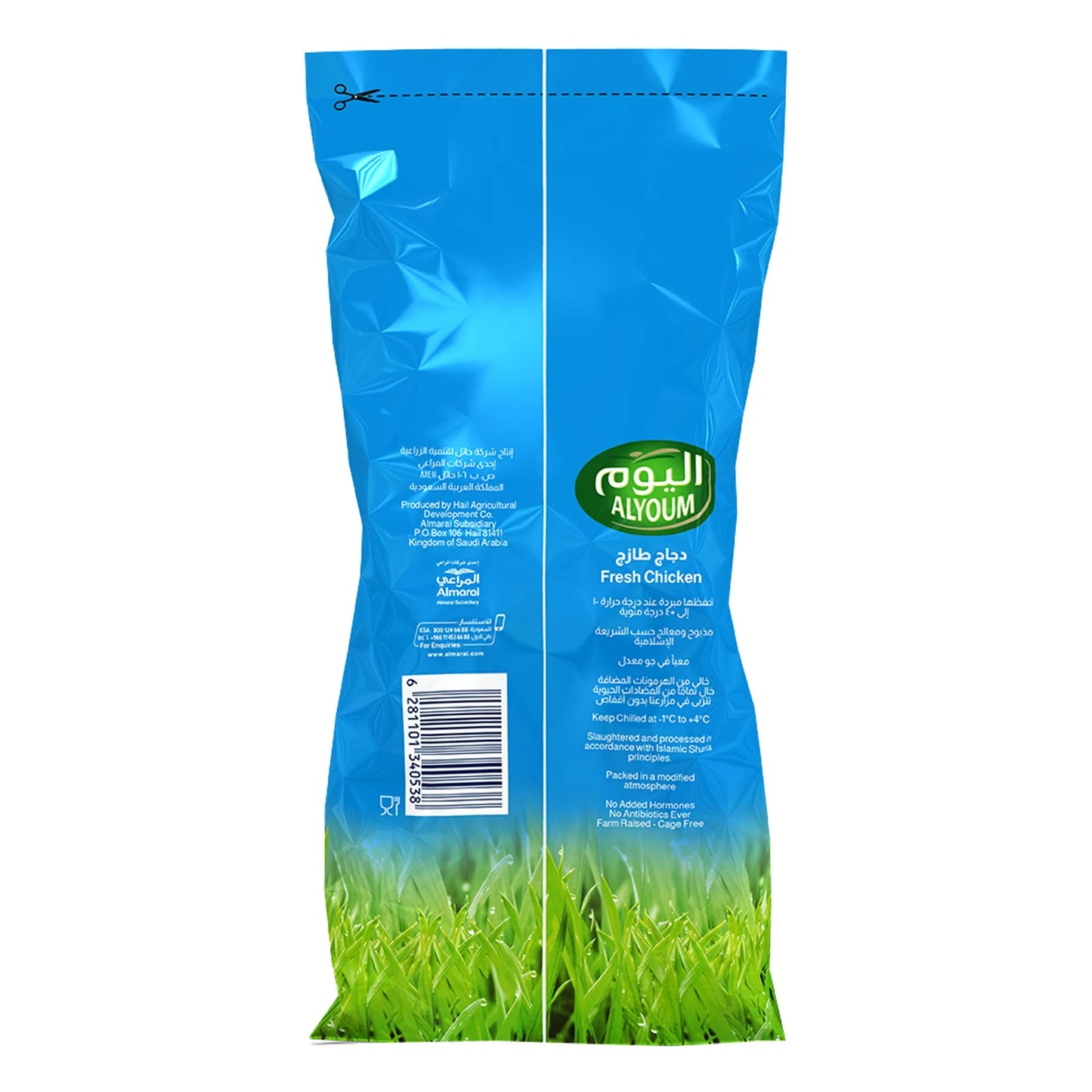 Alyoum Fresh Free Roam Vegetable Fed Whole Chicken 1 kg