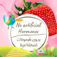 Arla Organic Long Life Strawberry Milk 200 ml