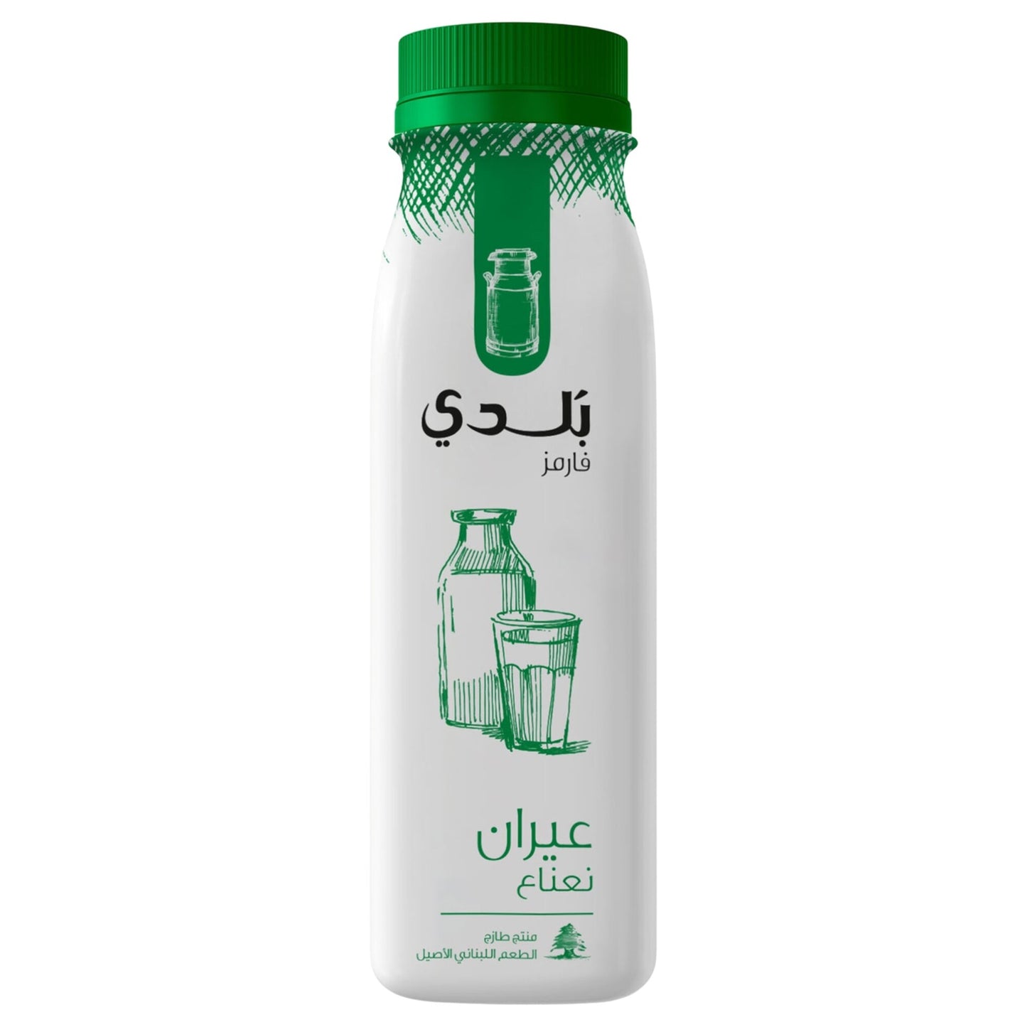 Balade Farms Fresh Ayran with Mint 225 ml