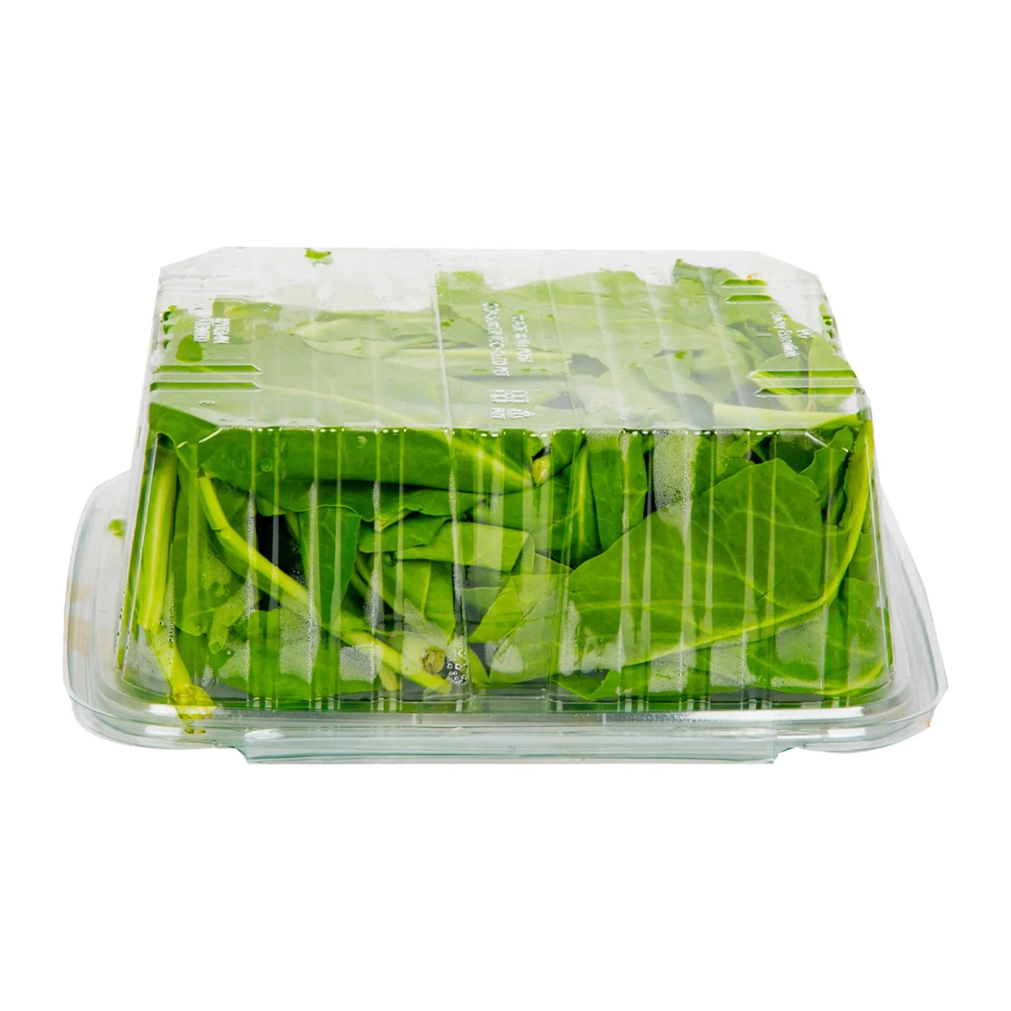 Barakat Fresh Spinach 200 gr per pack