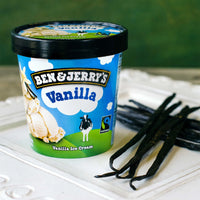 Ben and Jerrys Vanilla Ice Cream 473 ml
