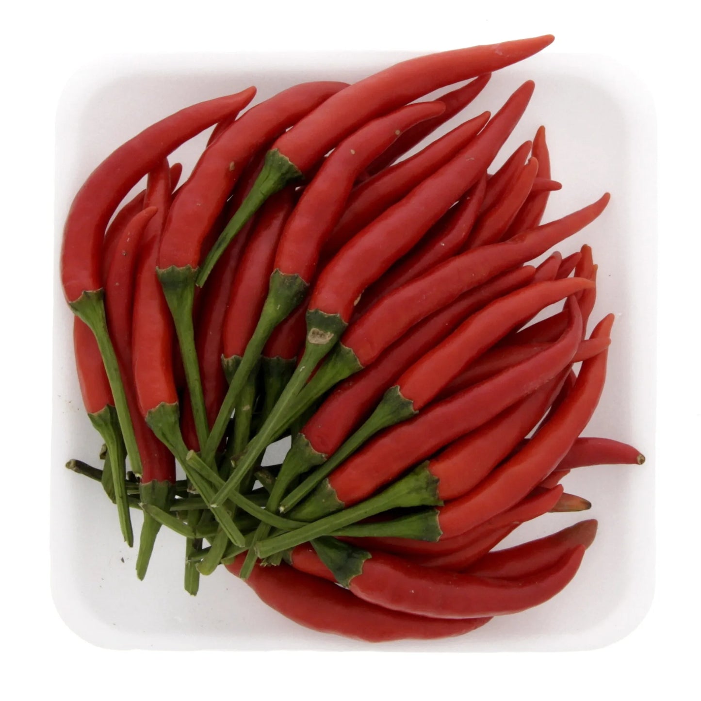 Bird Chili Red 100 gr per pack