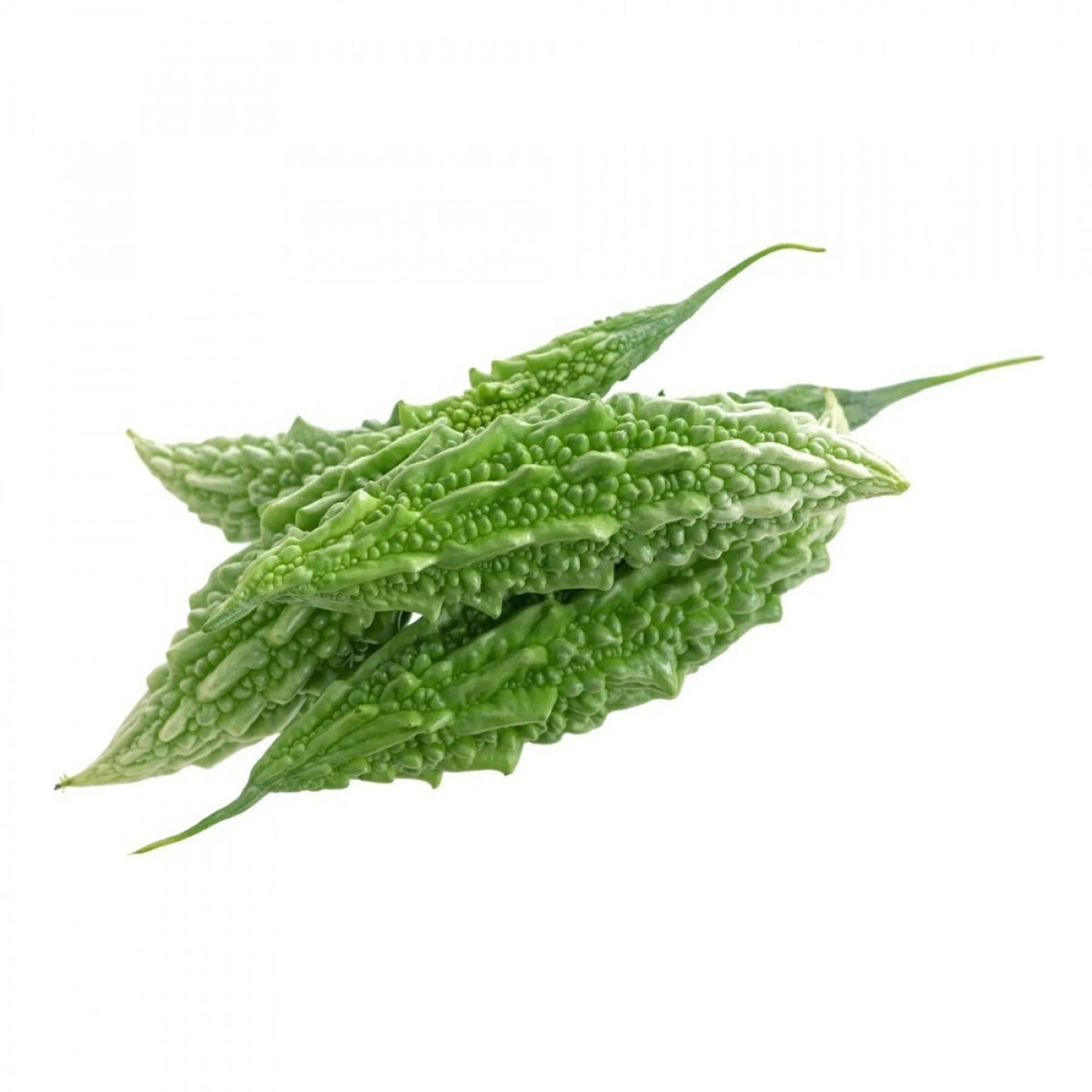 Bitter Gourd 500 gr