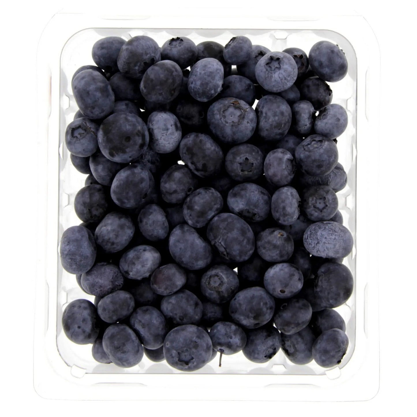 Blueberries 125 gr per pack