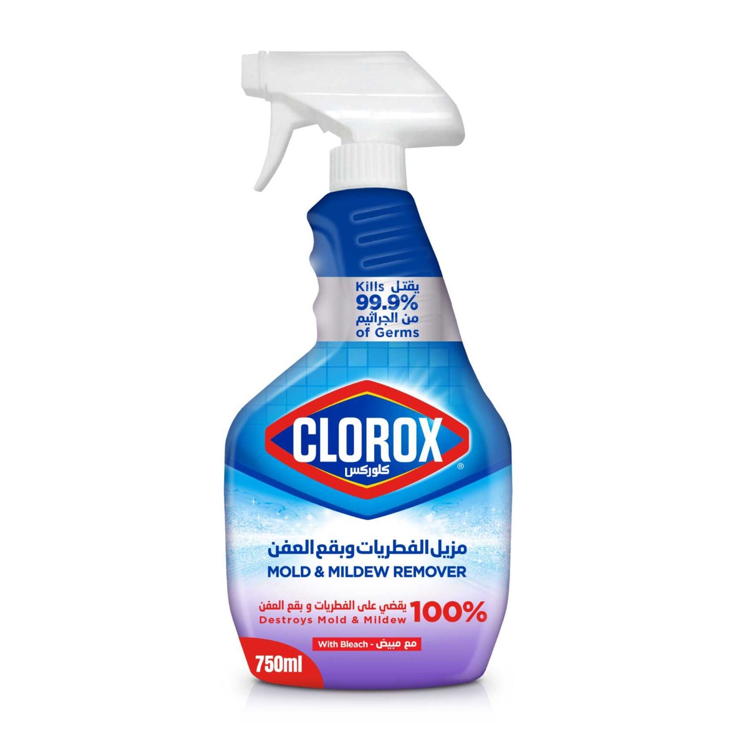 Clorox Mold & Mildew Remover 750ml