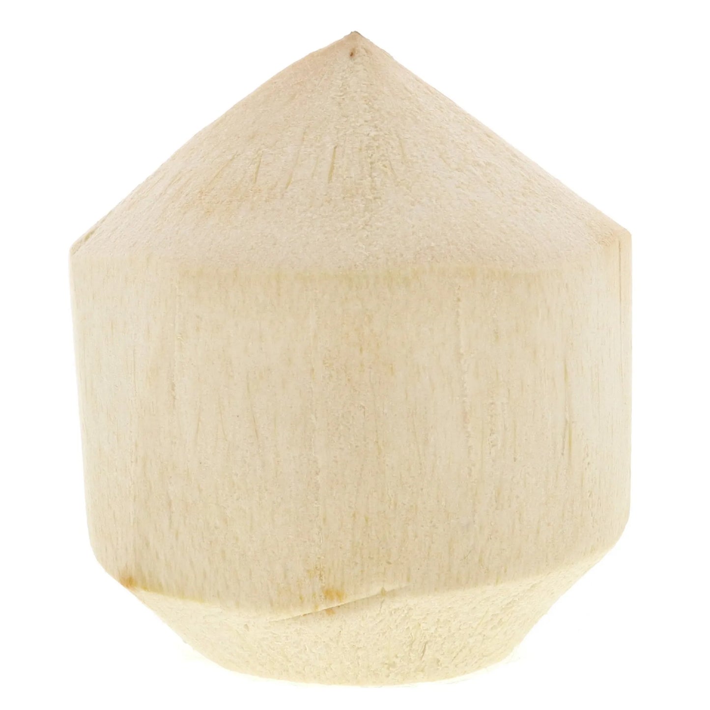 Coconut Young Tender 1 pcs