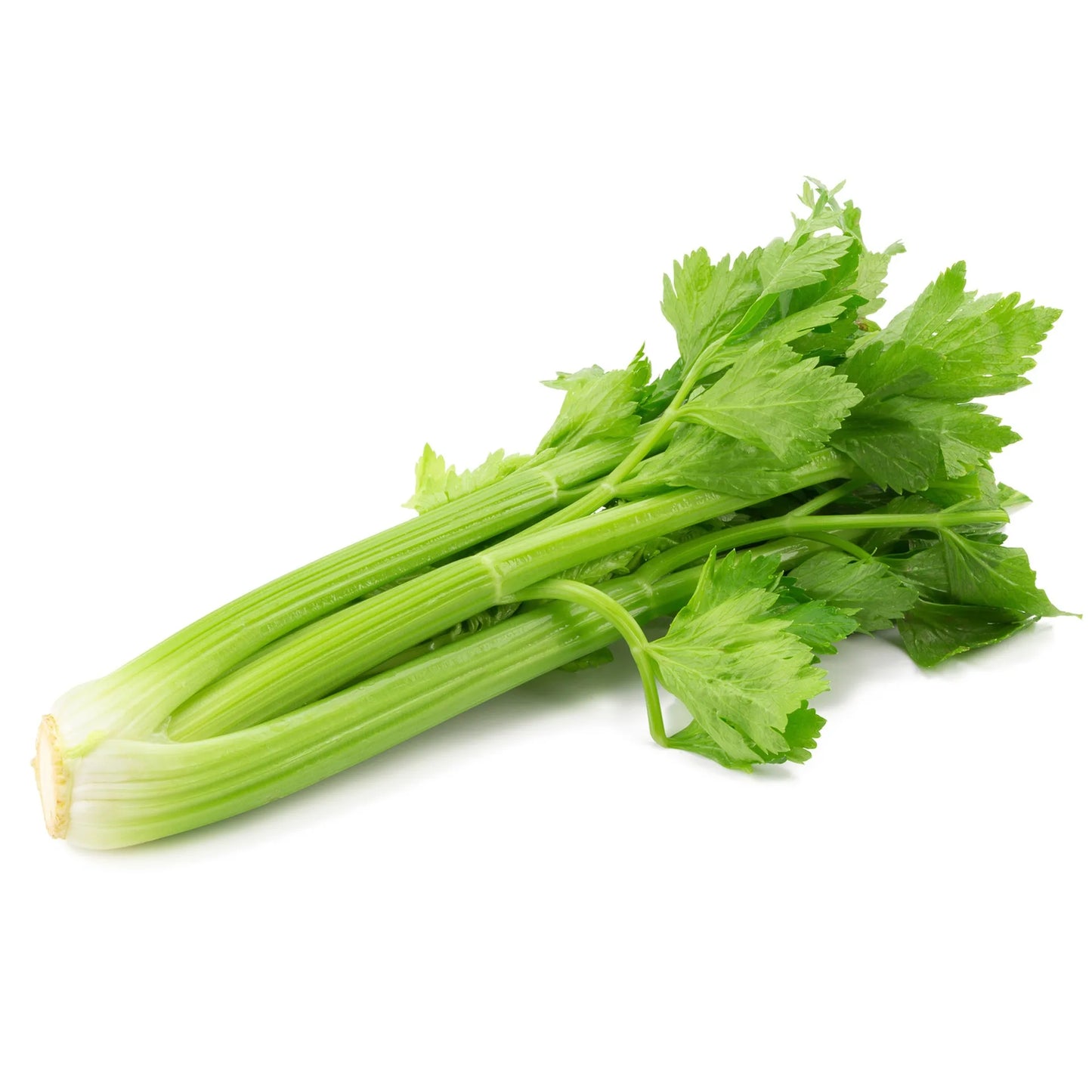 Fresh Celery 500 gr