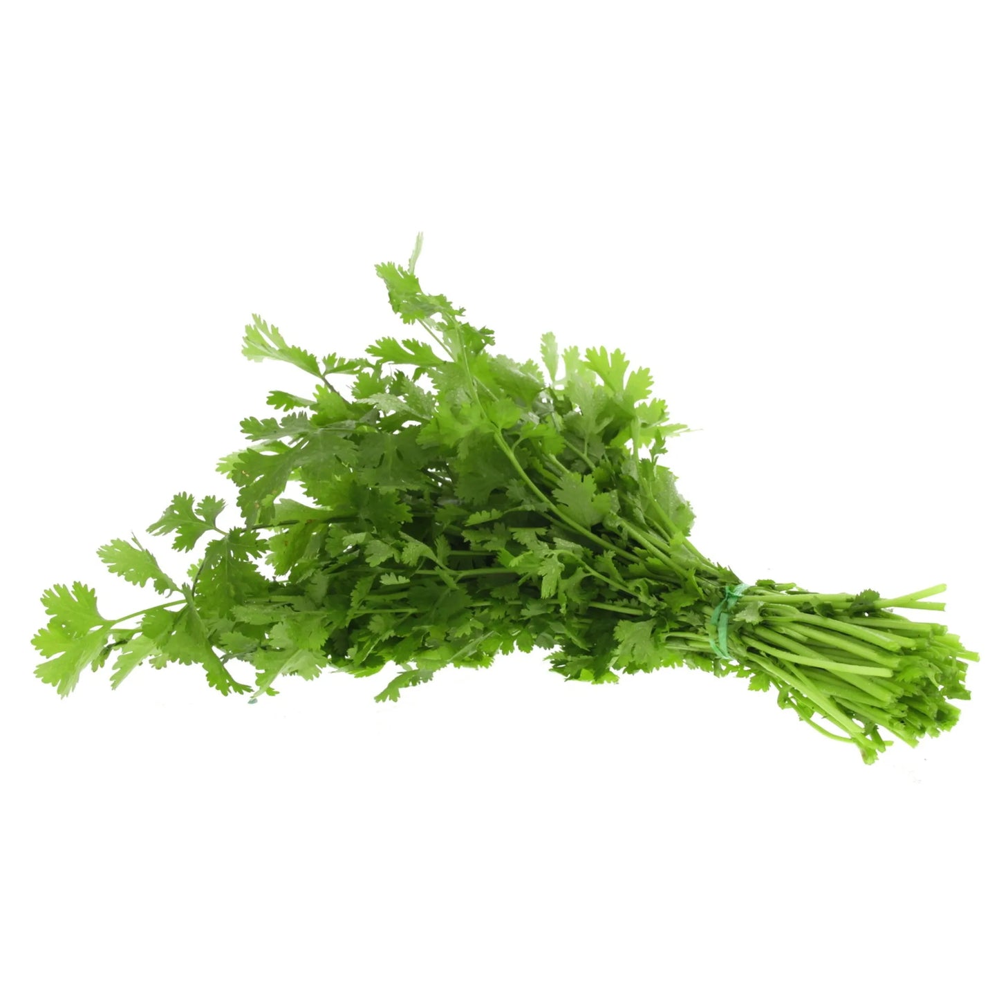 Fresh Coriander Leaves 1 pack