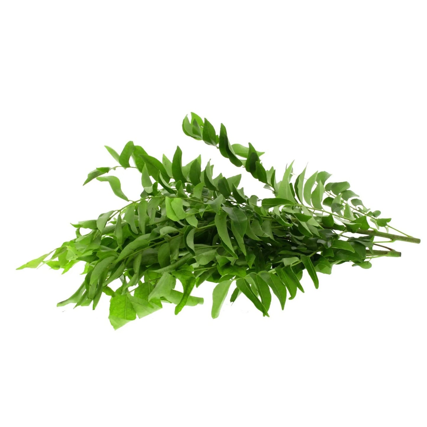 Fresh Curry Leaves 1 pack