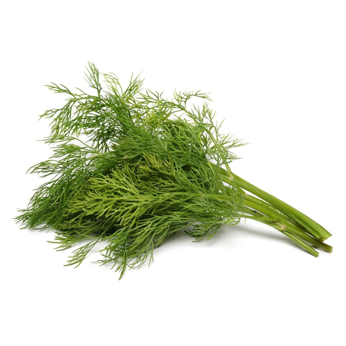 Fresh Dill Leaves 1 pack