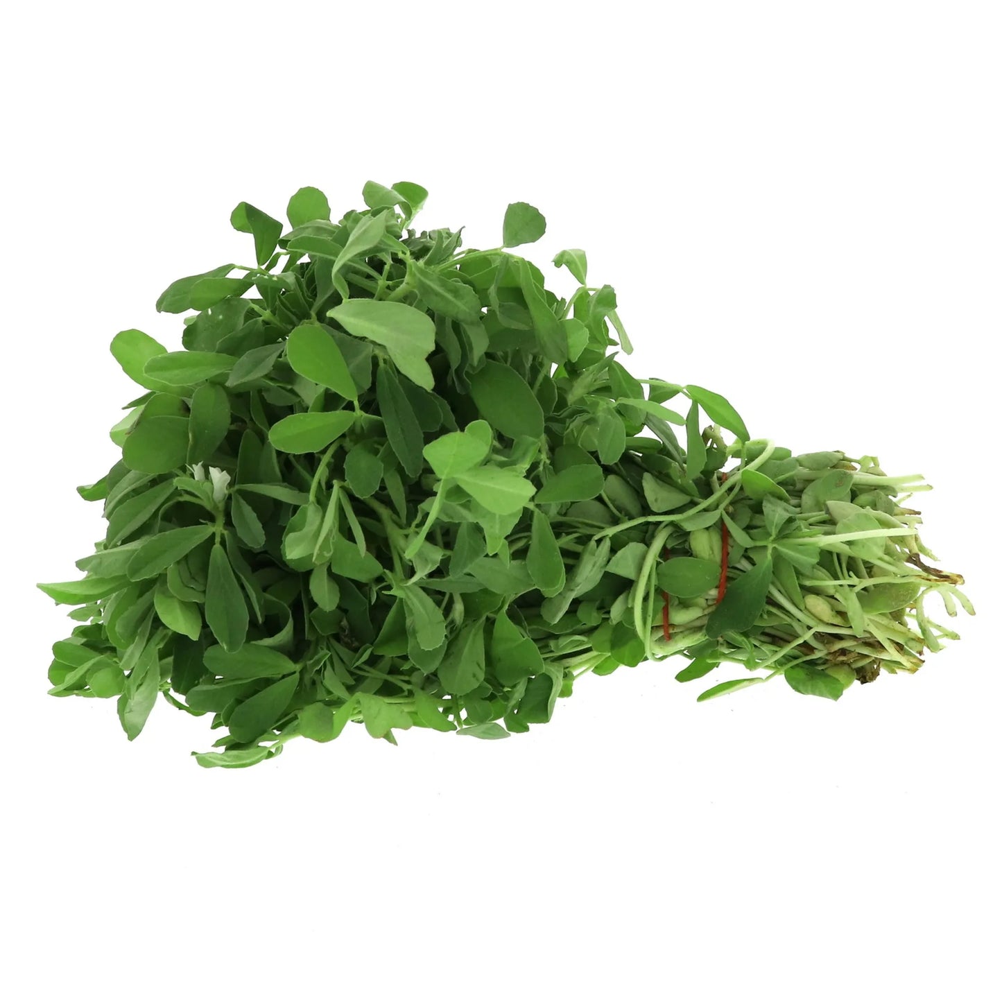 Fresh Methi Leaves 1 pack
