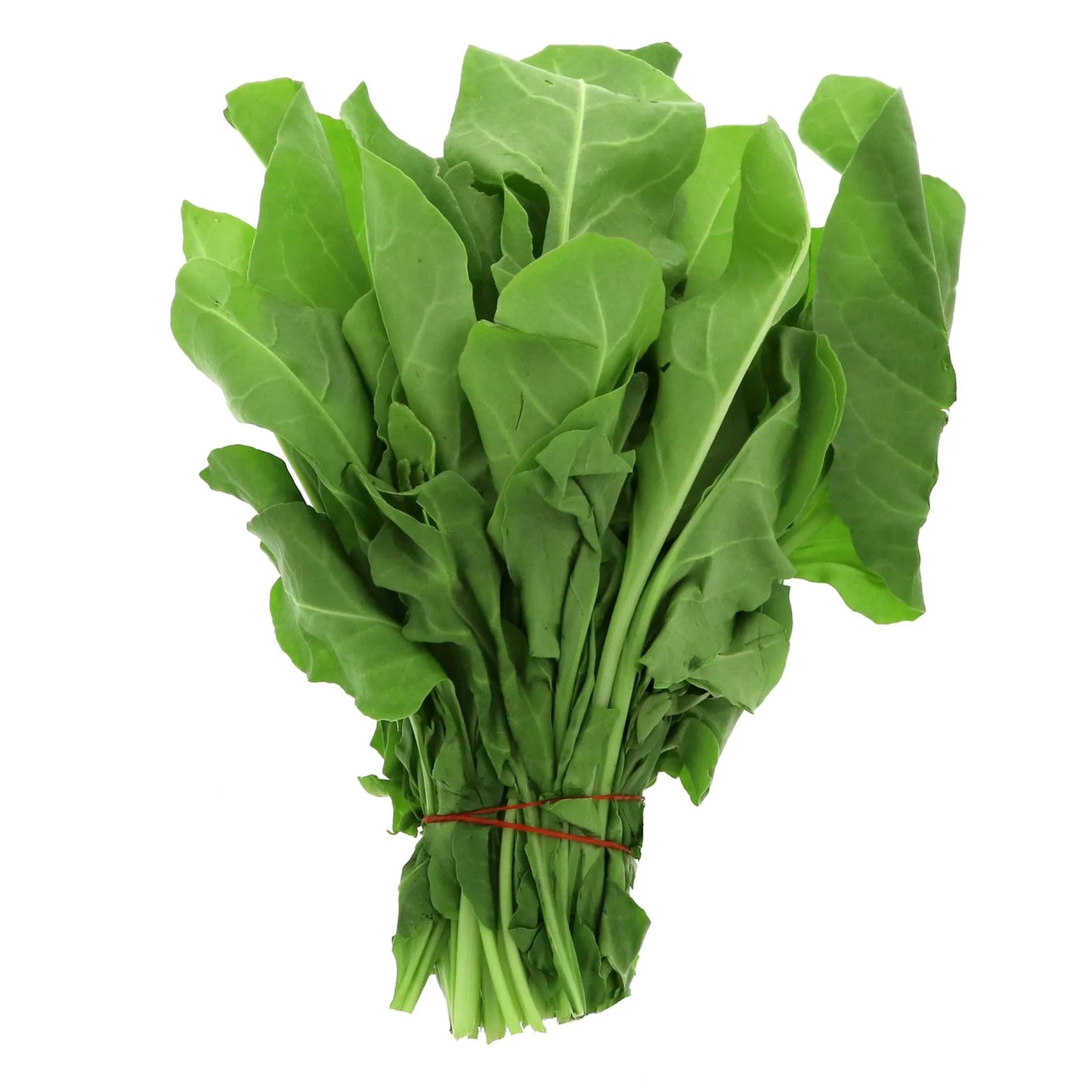 Fresh Spinach 1 pack