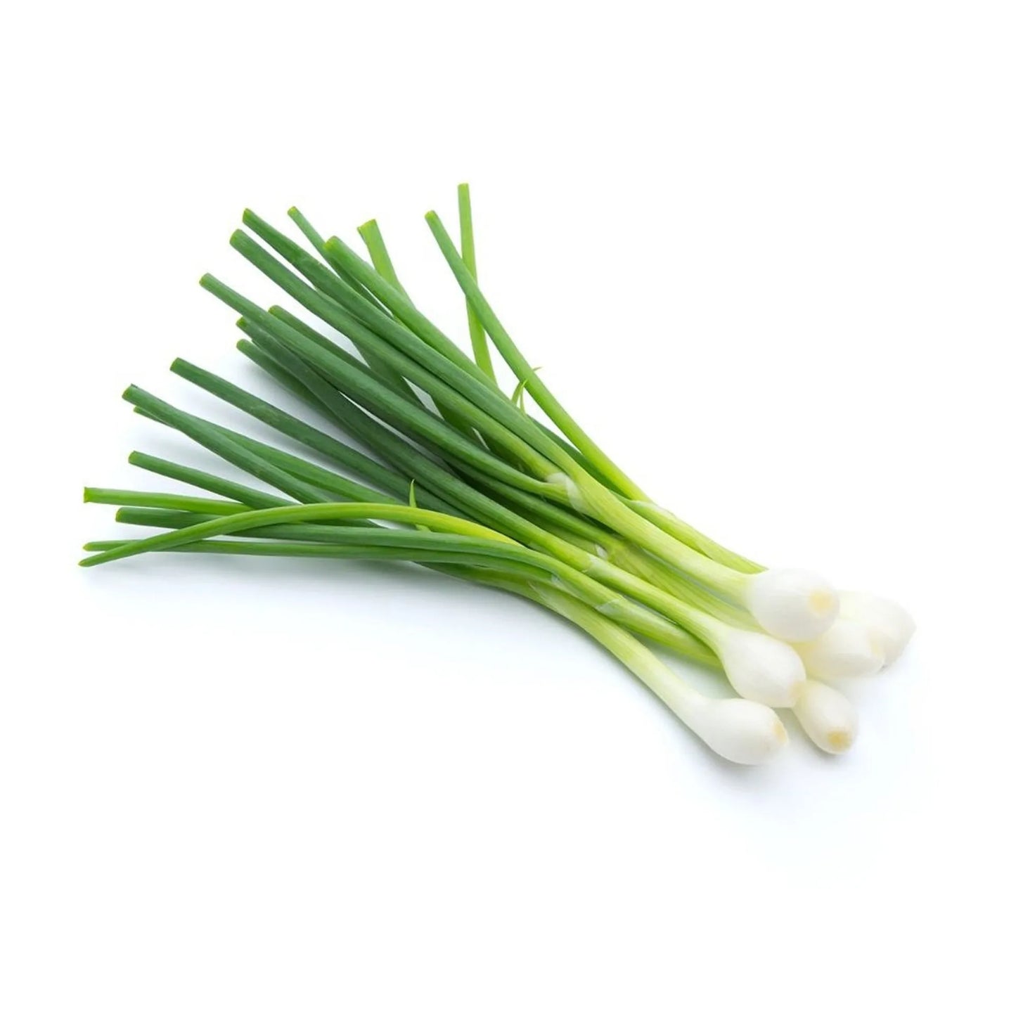 Fresh Spring Onions 1 pack