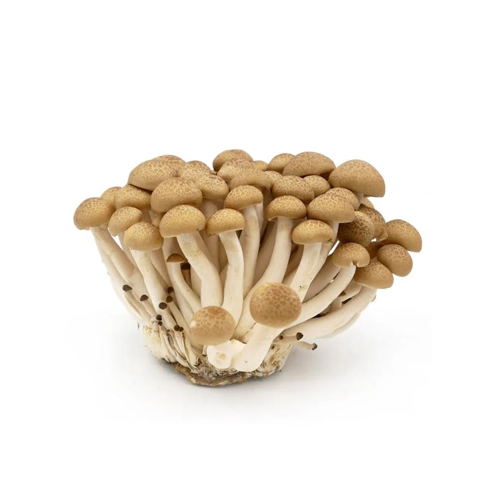 Mushrooms Shimeji White 150 gr per pack