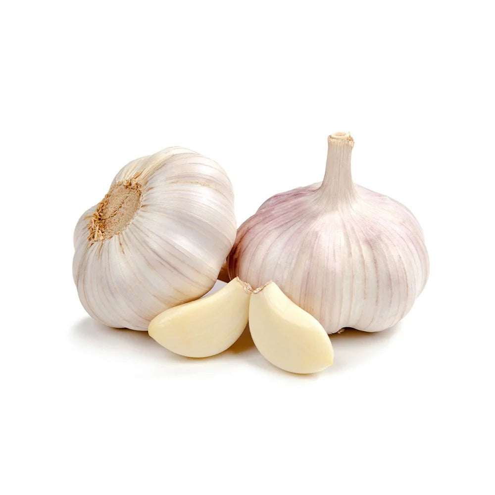 Garlic 1 pack