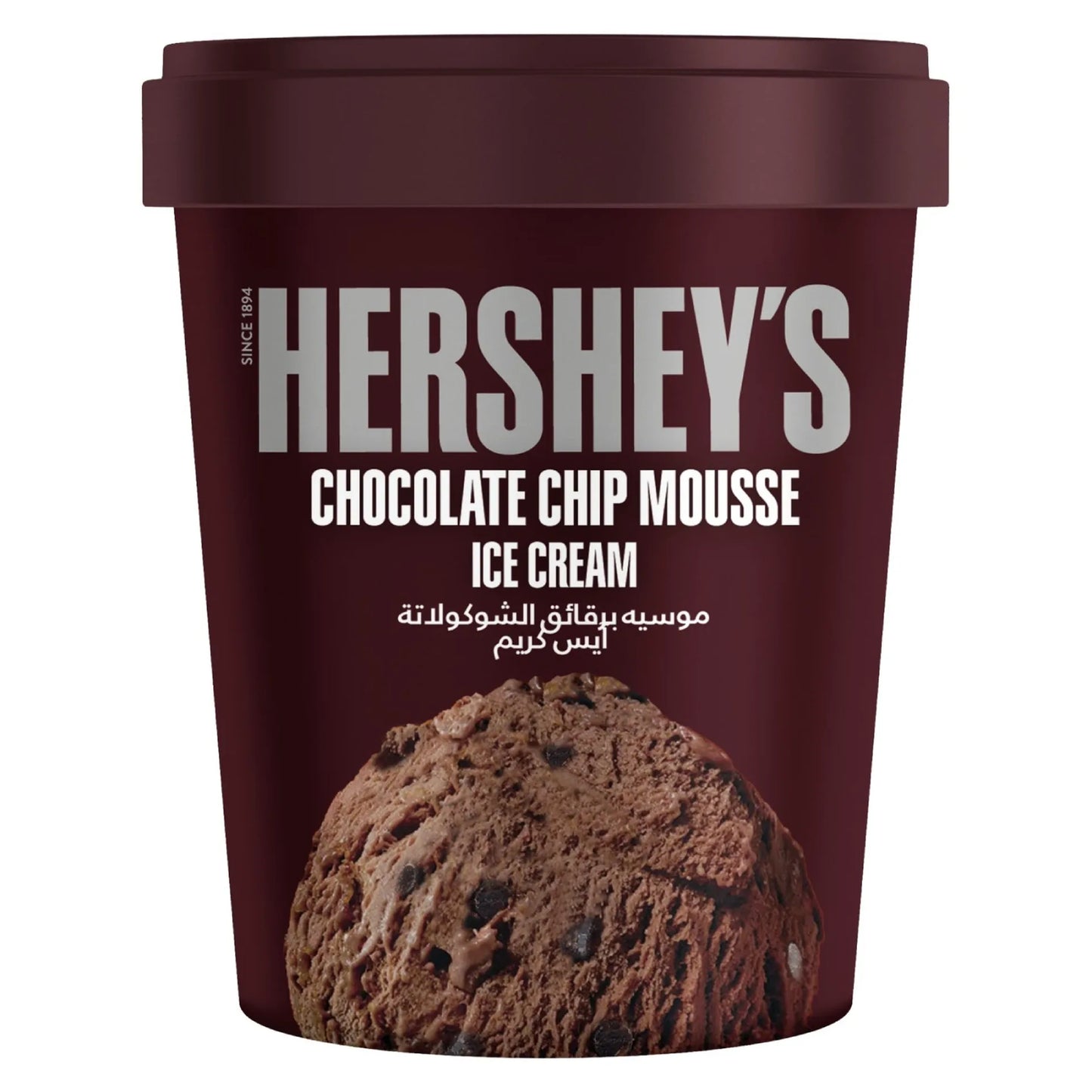 Hersheys Chocolate Chip Mousse Ice Cream 450 ml