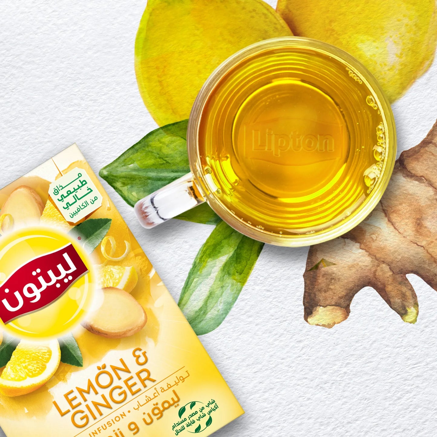Lipton Lemon & Ginger Infused Herbal Tea Bags 20 per pack