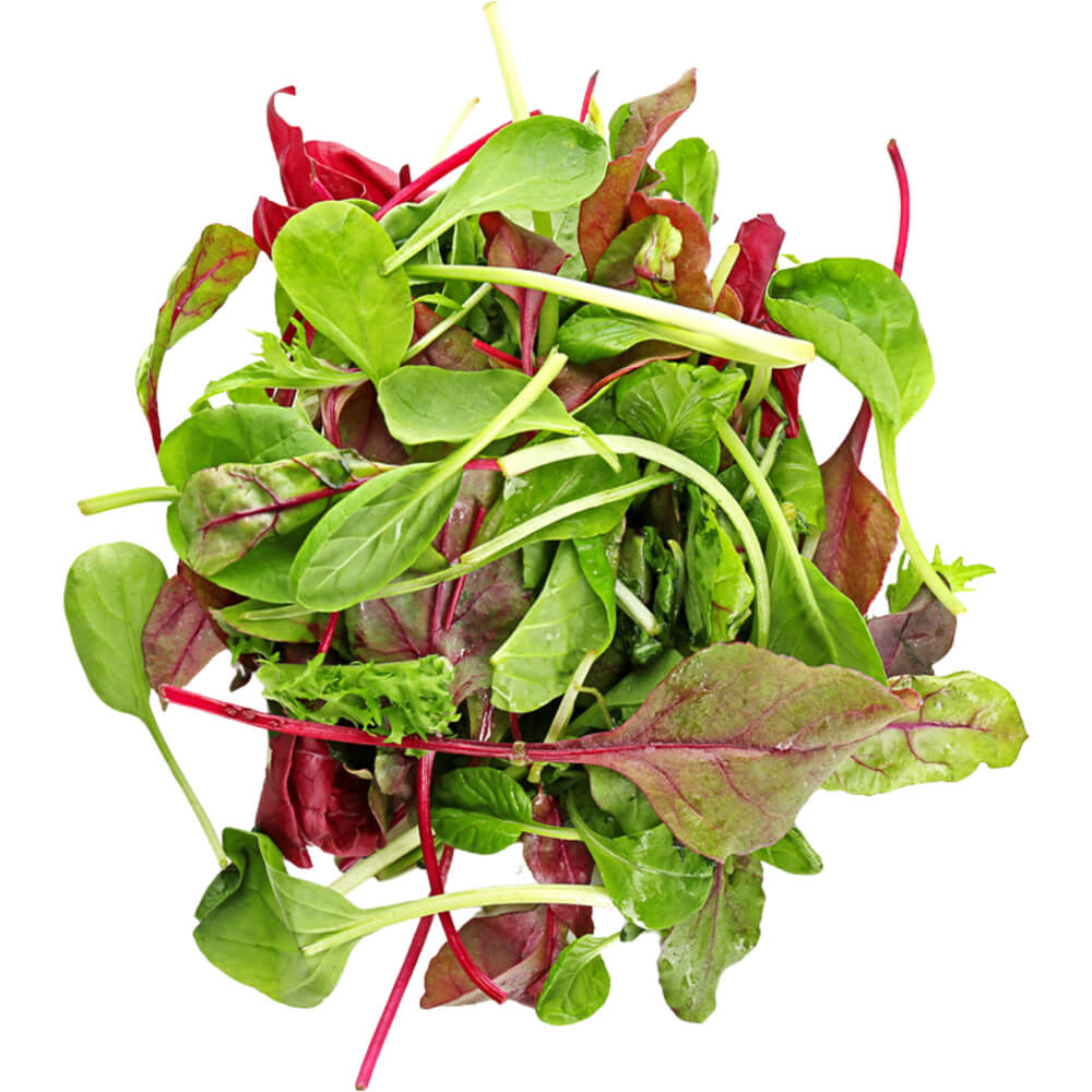 Mesclun Mix UAE 125 gr per pack