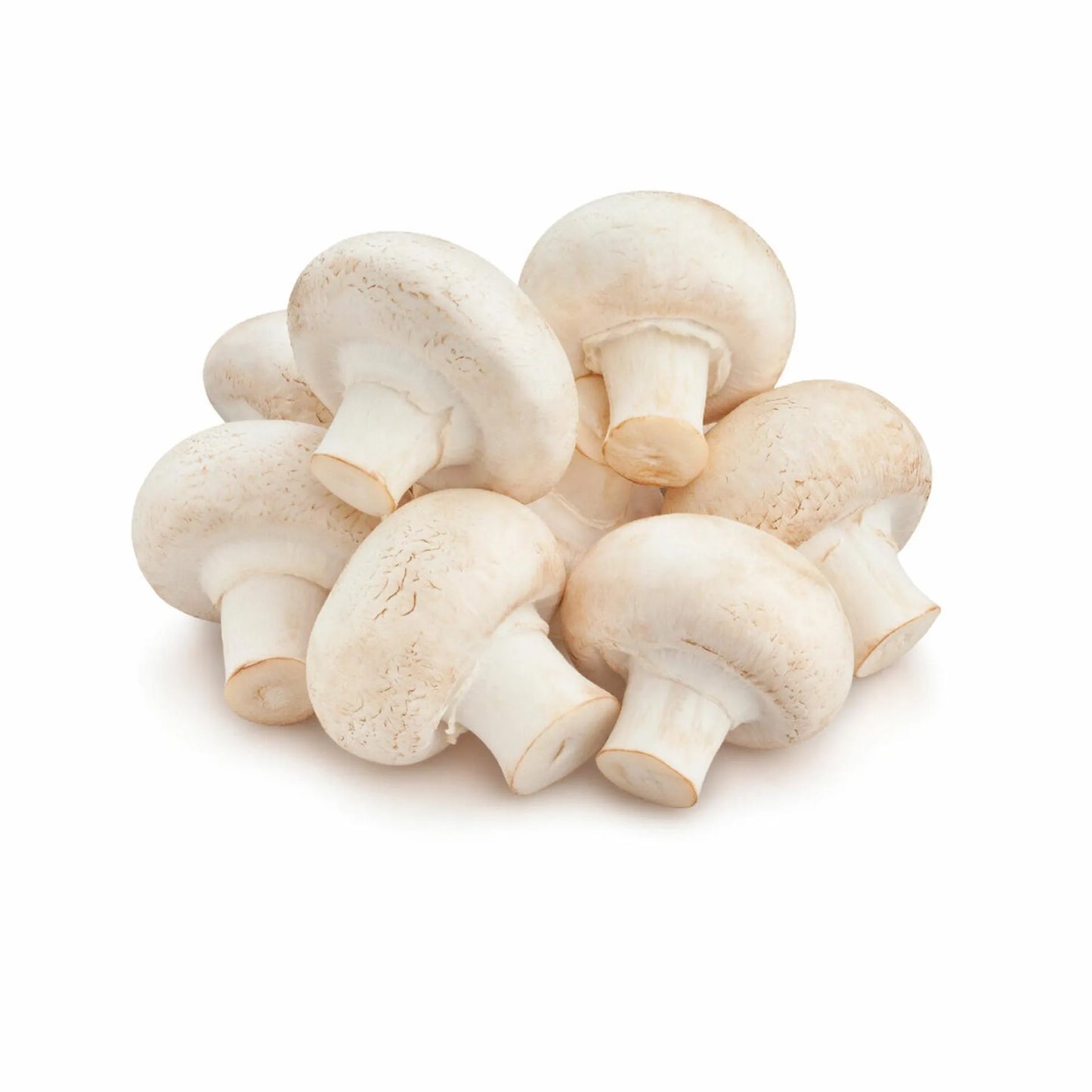 Mushrooms White 250 gr per pack