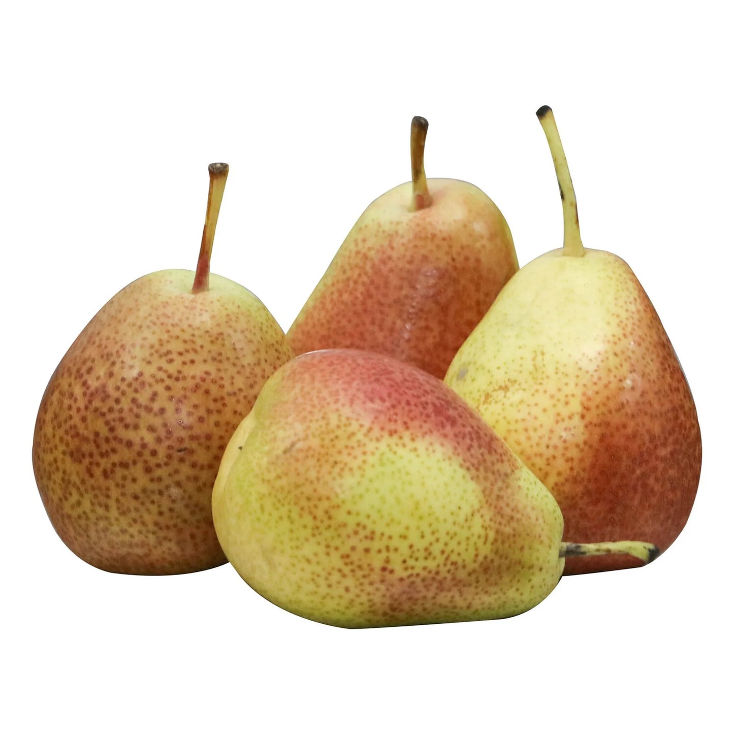 Pears Forelle South Africa 500 gr