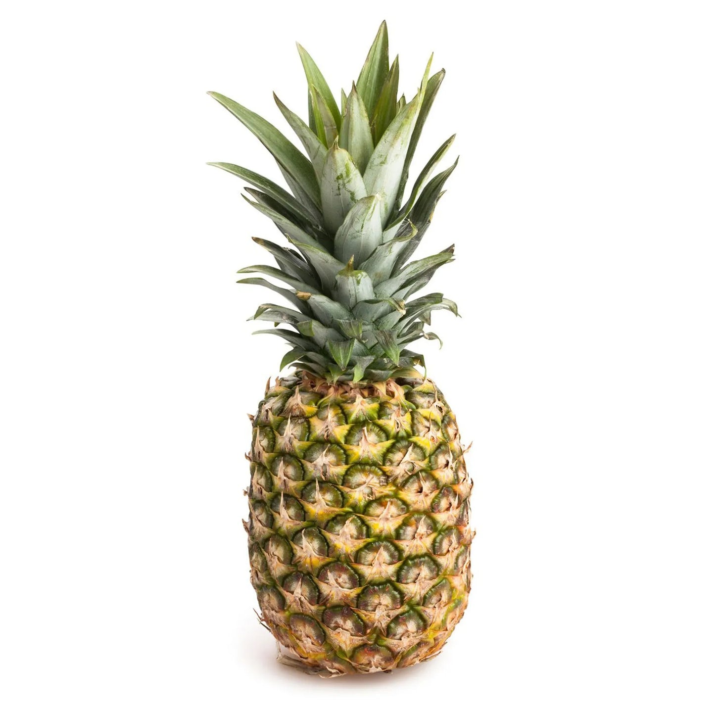 Pineapple 1 pcs