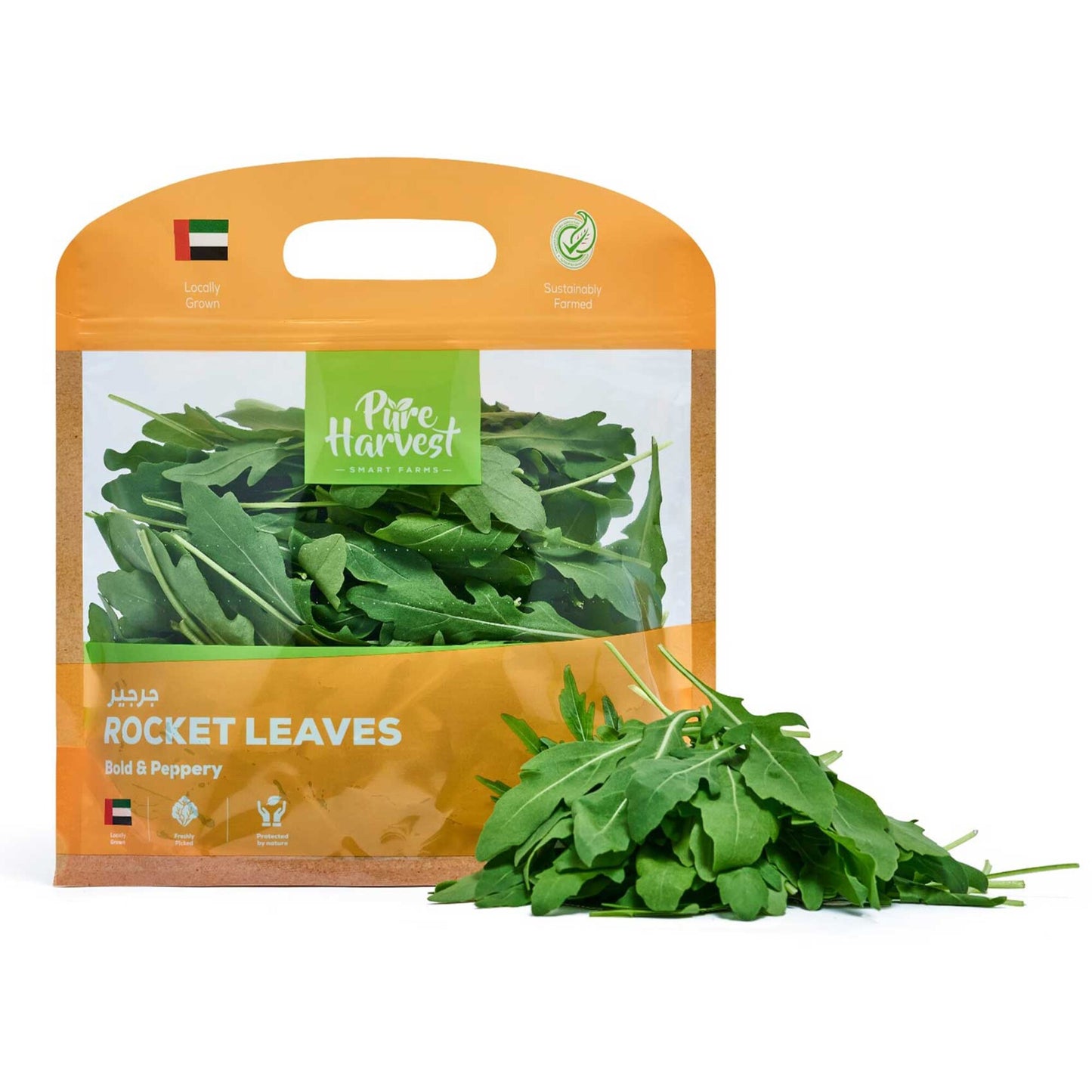 Pure Harvest Rocket Leaves UAE 125 gr per pack
