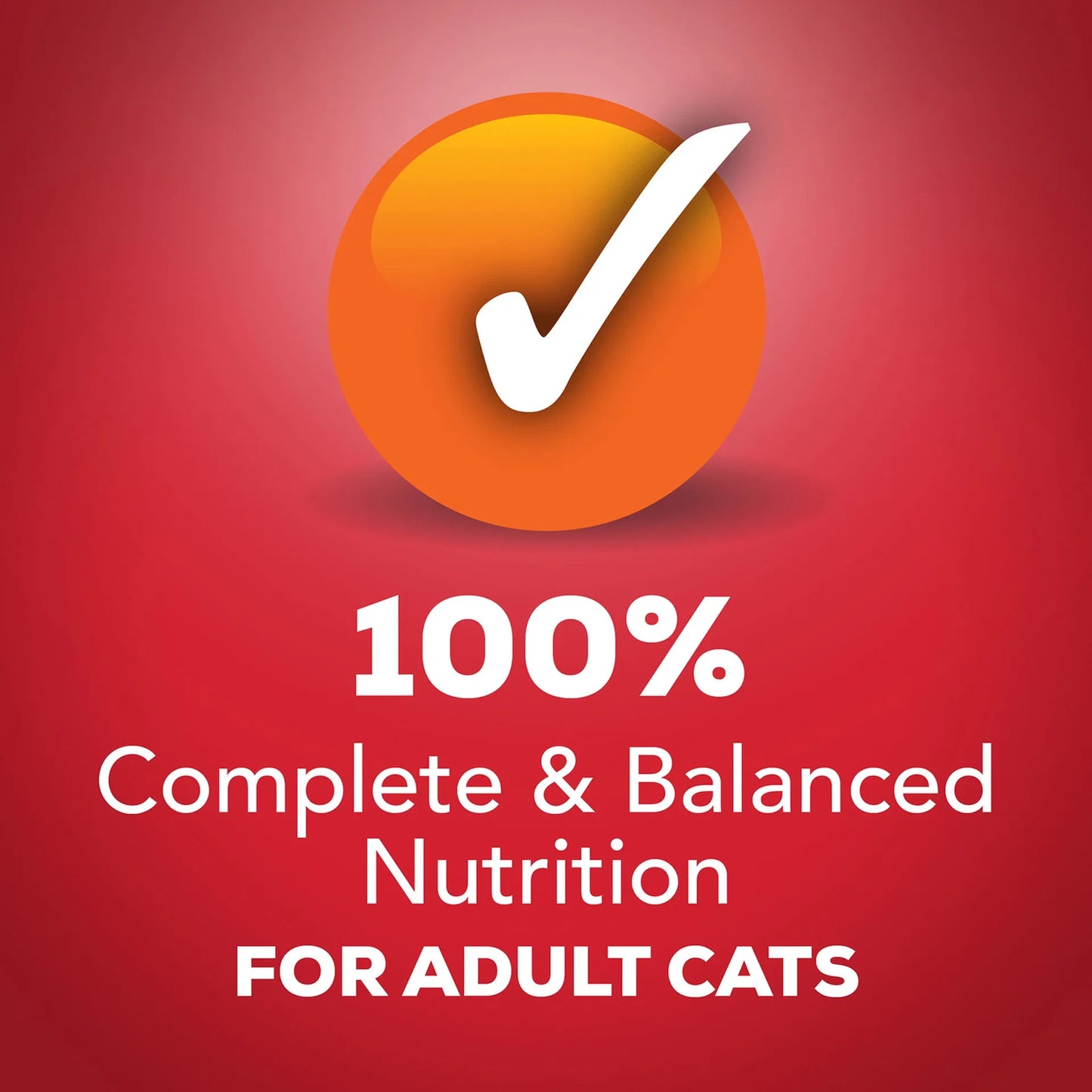 Purina Friskies Meaty Bits Wet Food with Beef in Gravy for Adult Cats 156 gr