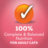 Purina Friskies Wet Food Chunks with Salmon in Gravy for 156 gr