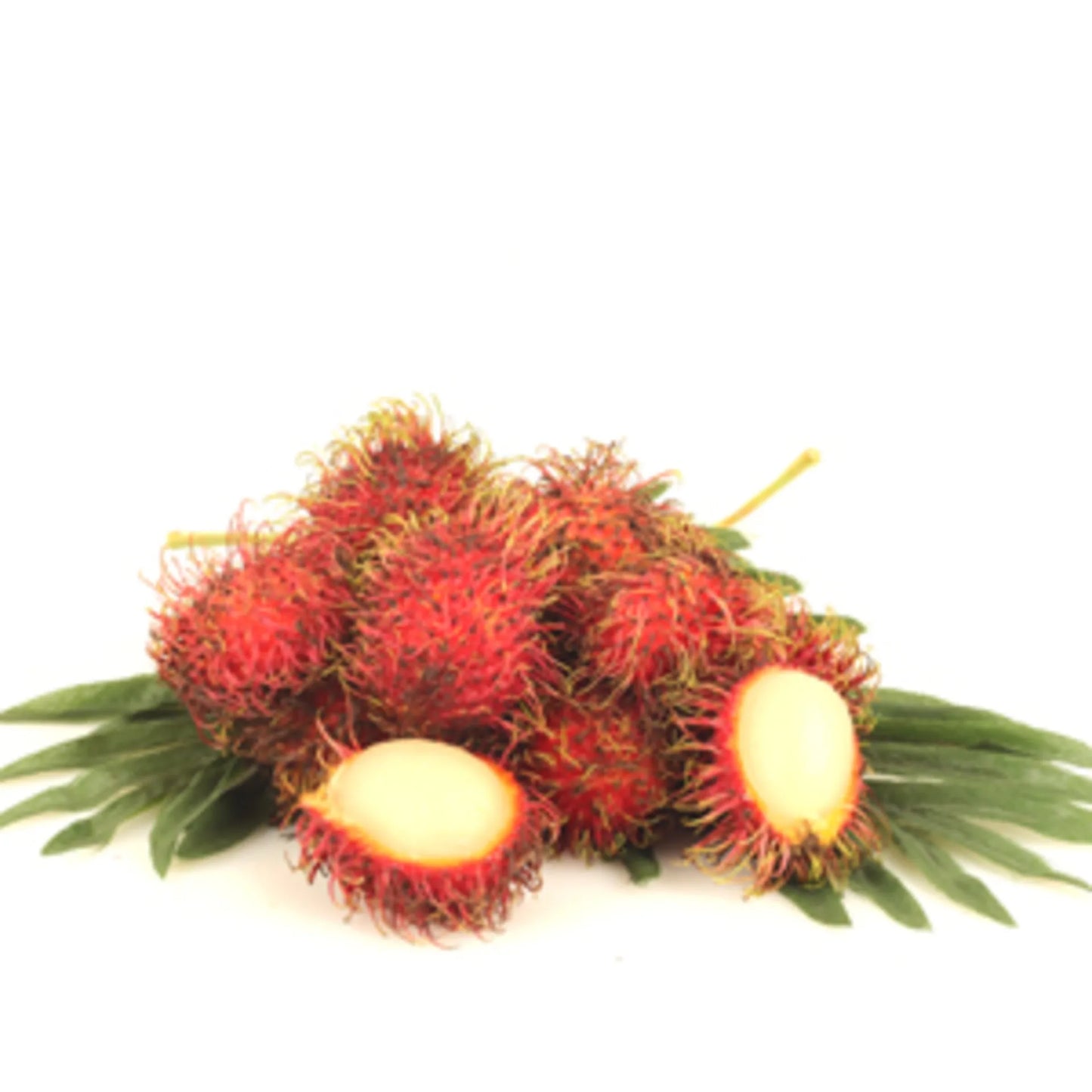 Rambutan 500 gr per pack