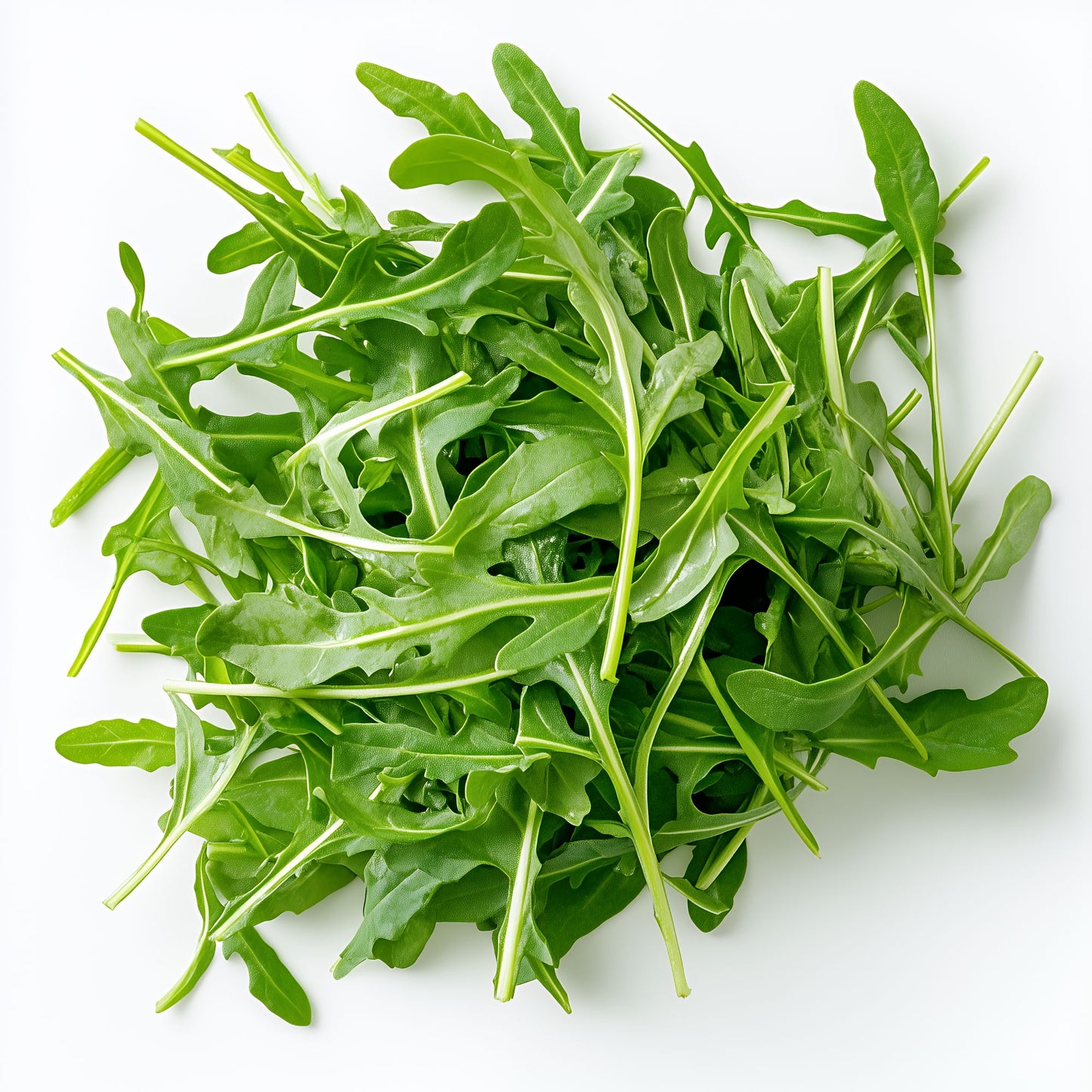 Rocket Leaves 125 gr per pack