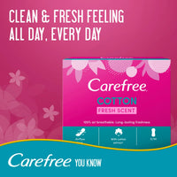 Carefree Megapack 76's Fresh @ 10% OFF
