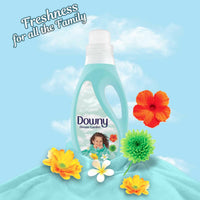 Downy Fabric Softener 3Liter Dream Garden